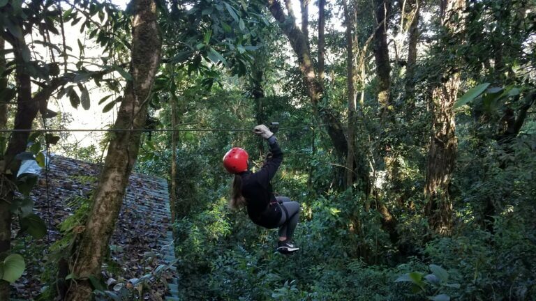 Zipline